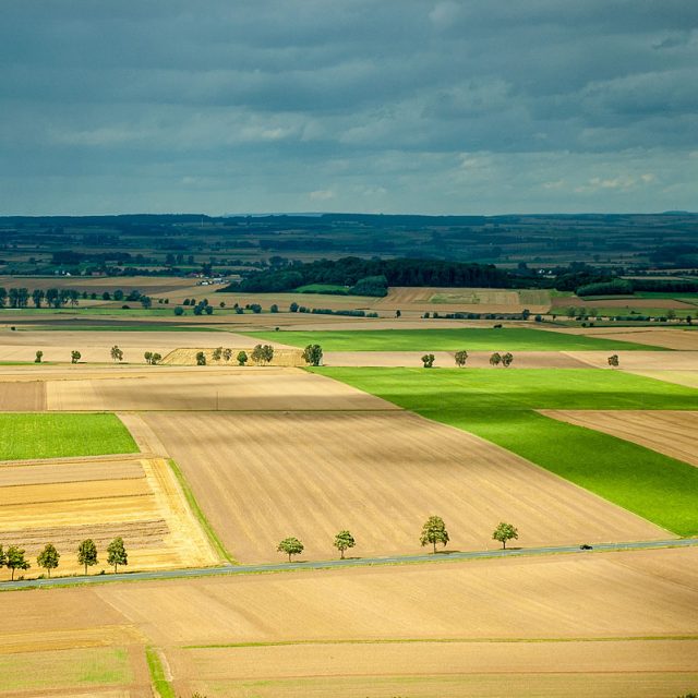 Regenwolken über einem Muster aus Getreidefelder, Wolkenschatten, Warburg, Deutschland