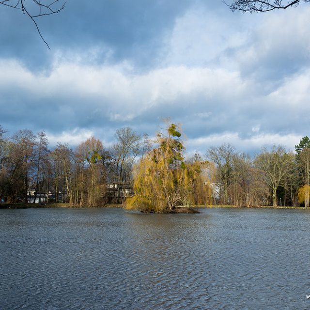 Teich im Levinschen Park