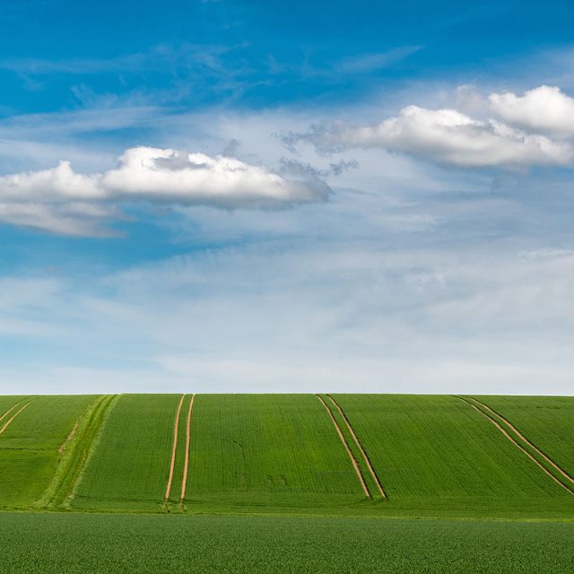 Felder mit Getreide, Fahrspuren, Wolken, Leinetal, Klein Schneen bei Göttingen, Deutschland