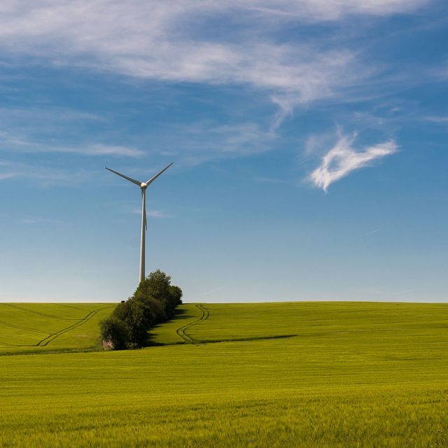 Windräder inmitten von Getreidefeldern, Stöckey, Deutschland