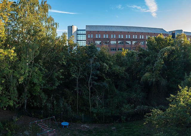 Blick auf Gehölzstreifen und Bürogebäude, Sommer 2020, Göttingen