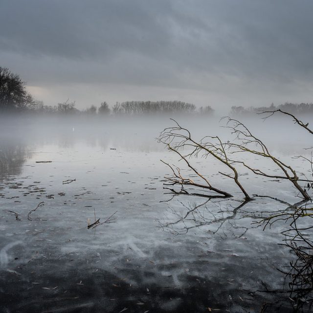 Äste im Wasser, Nebel über Eisdecke, Kiessee, Göttingen, Deutschland